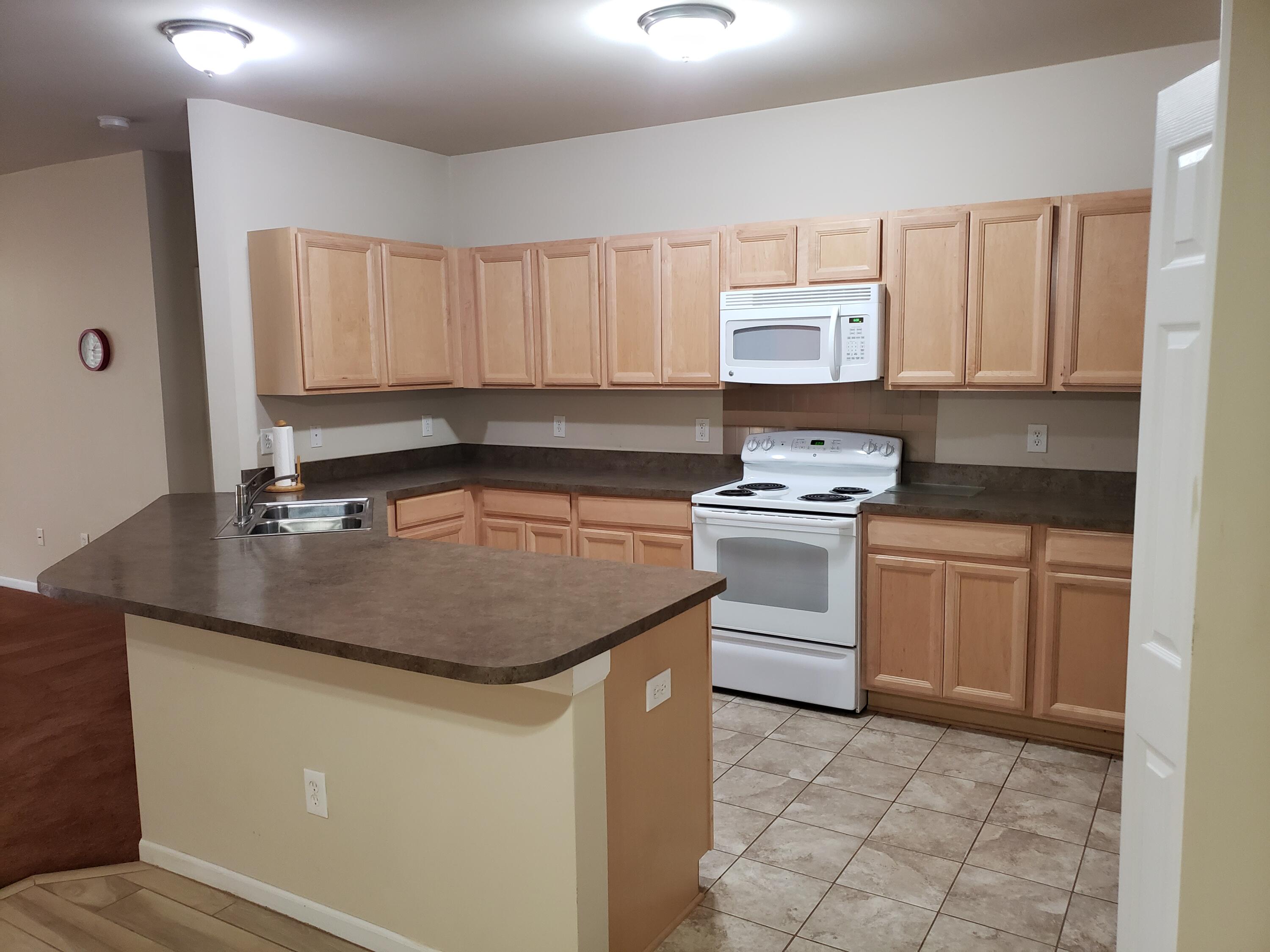 10118 Ridge Run Street Howell, MI 48855 - Photo 5 of 21 2022-05-11 18.08.02