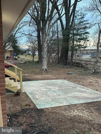 a view of a yard with a tree