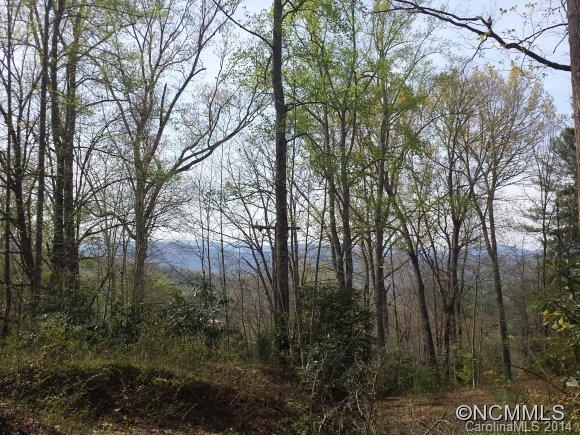 596 Becky Mountain Road Brevard, NC 28712 - Photo 1 of 12 Gallery Image 1