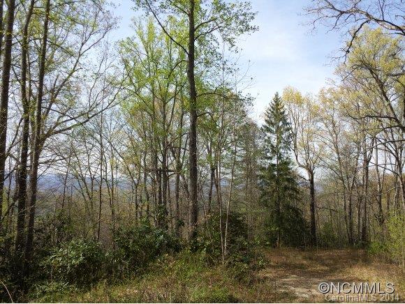 596 Becky Mountain Road Brevard, NC 28712 - Photo 2 of 12 Gallery Image 2