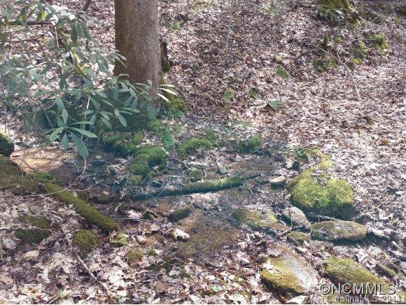 596 Becky Mountain Road Brevard, NC 28712 - Photo 12 of 12 Gallery Image 12