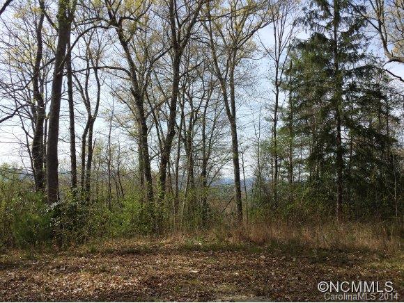 596 Becky Mountain Road Brevard, NC 28712 - Photo 5 of 12 Gallery Image 5