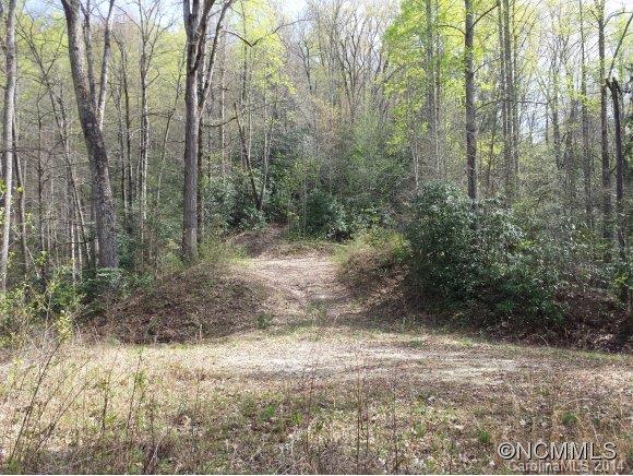 596 Becky Mountain Road Brevard, NC 28712 - Photo 6 of 12 Gallery Image 6