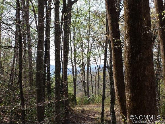 596 Becky Mountain Road Brevard, NC 28712 - Photo 10 of 12 Gallery Image 10