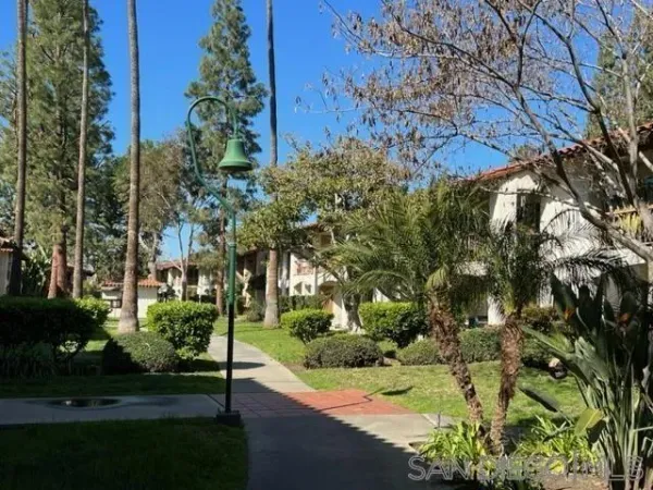 a view of a patio with table and chairs potted plants and palm trees