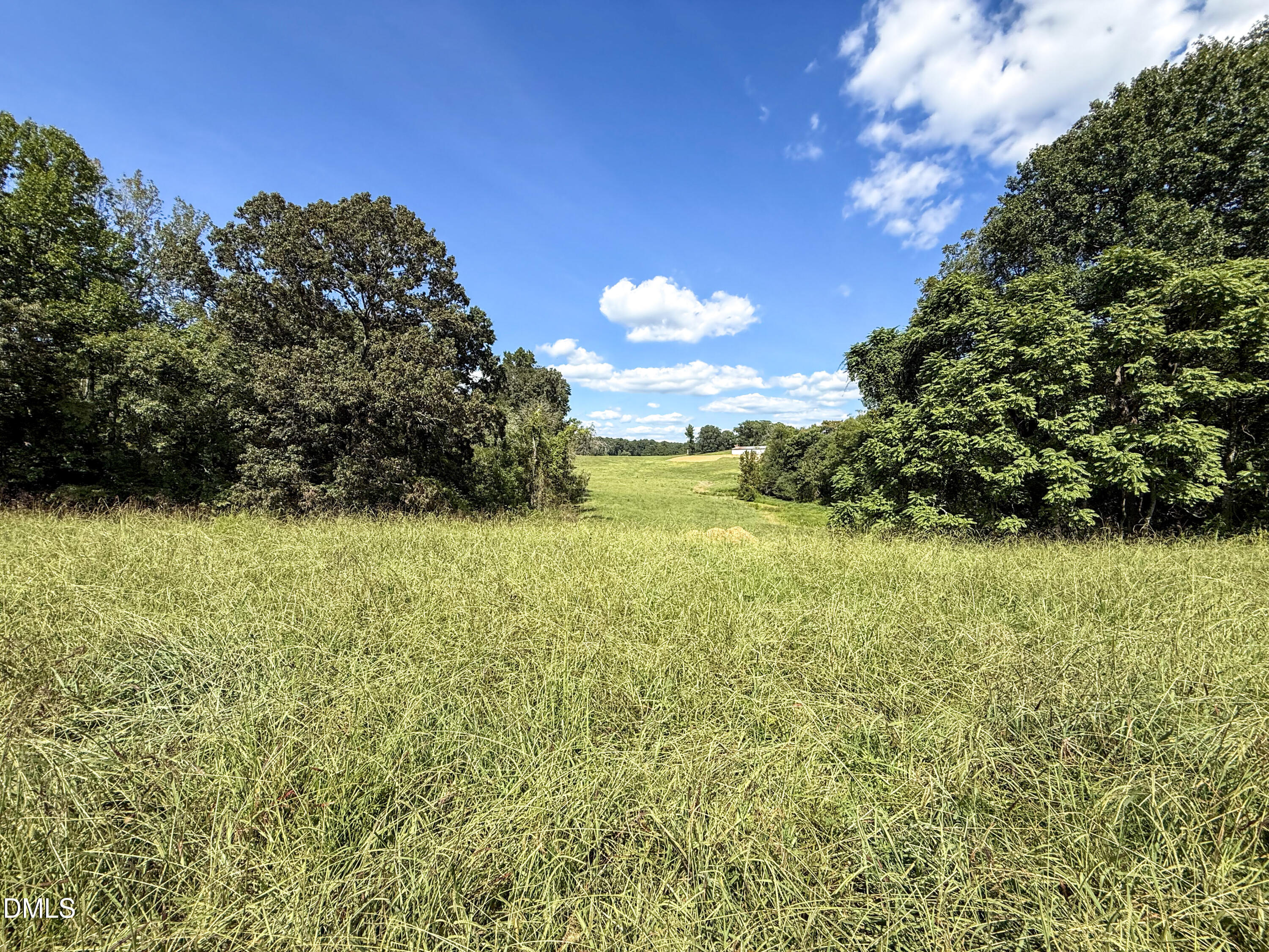 2475 Coleridge Road Siler City, NC 27344 - Photo 2 of 52 Smith Farm Chatham (1)