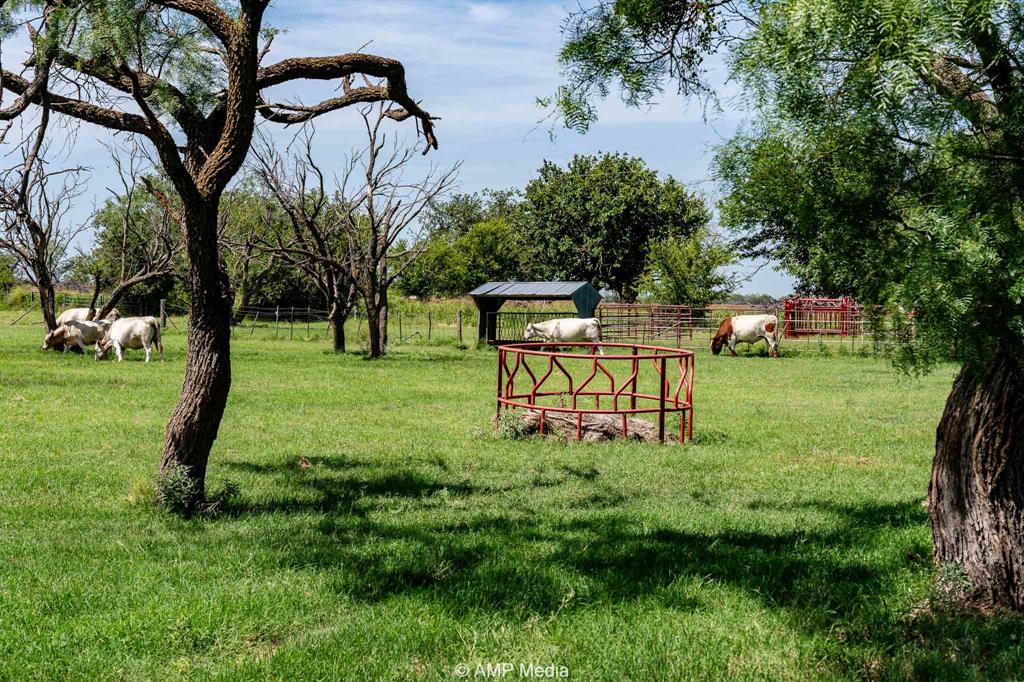 1869 Farm To Market Road 605 Hawley, TX 79525 - Photo 33 of 39 a backyard of a house with table and chairs