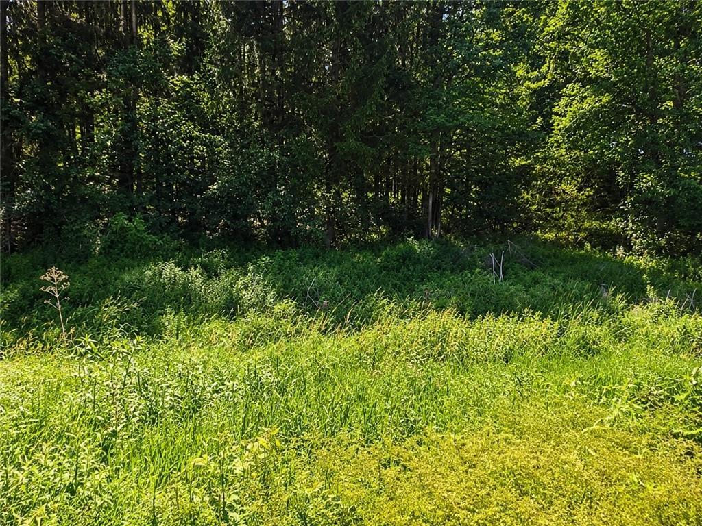 0 Bullcreek Road Butler, PA 16002 - Photo 2 of 2