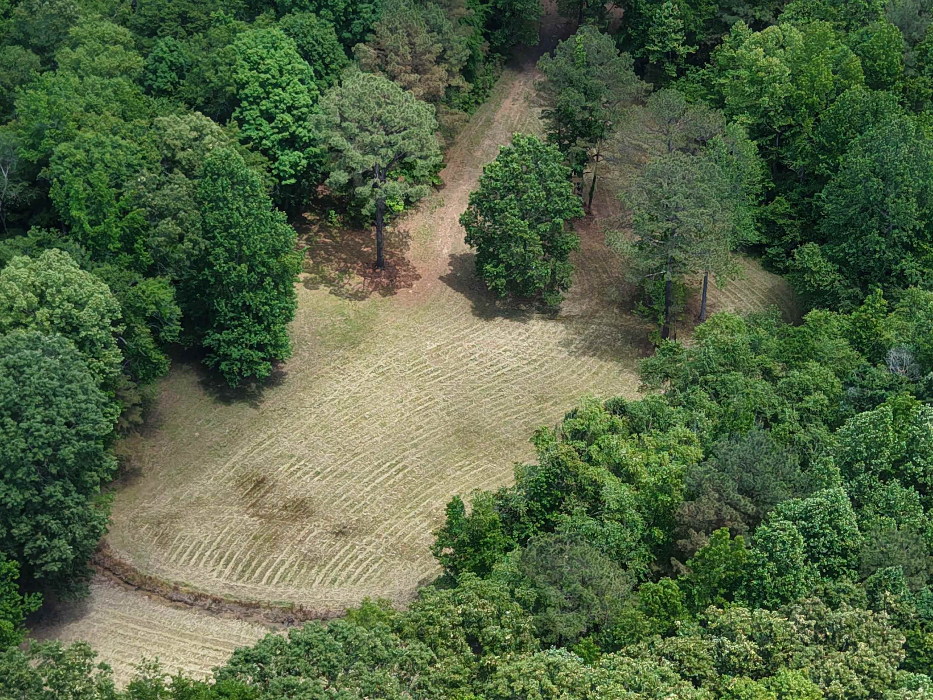 3360 Ebenezer Road Toone, TN 38381 - Photo 3 of 40