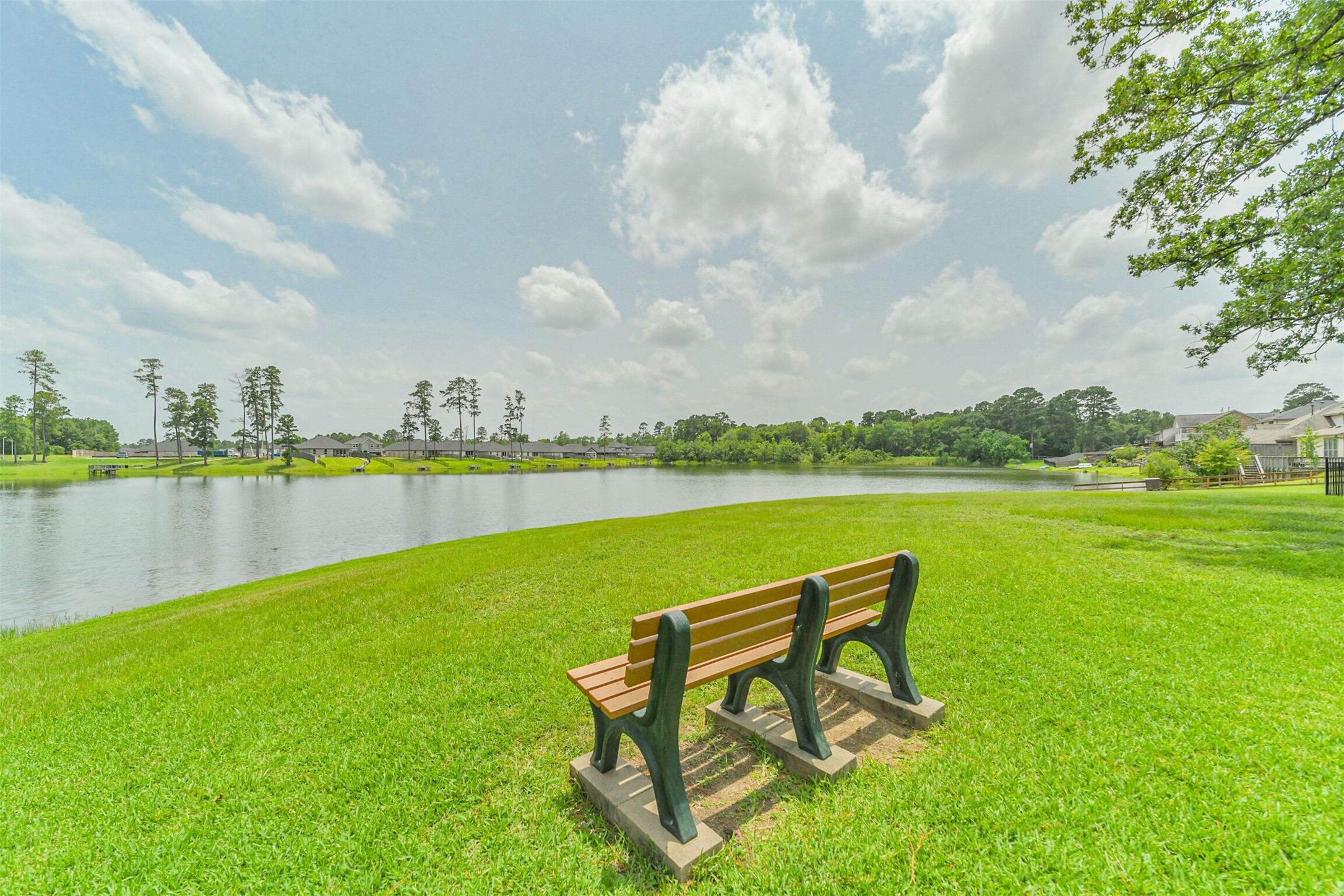 12009 La Salle River Road Conroe, TX 77304 - Photo 49 of 50 a view of a lake with a garden