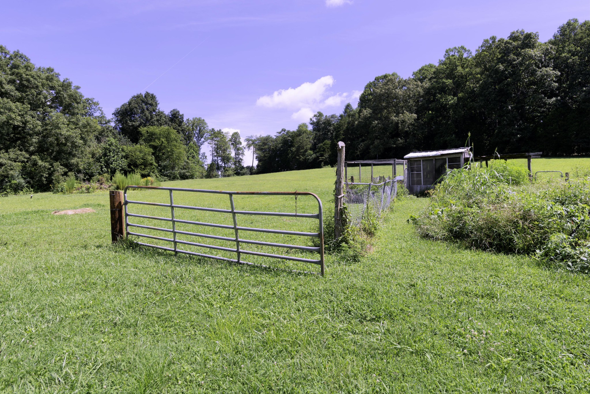 1405 Sweetwater Road Philadelphia, TN 37846 - Photo 8 of 28 a view of a bench in a garden