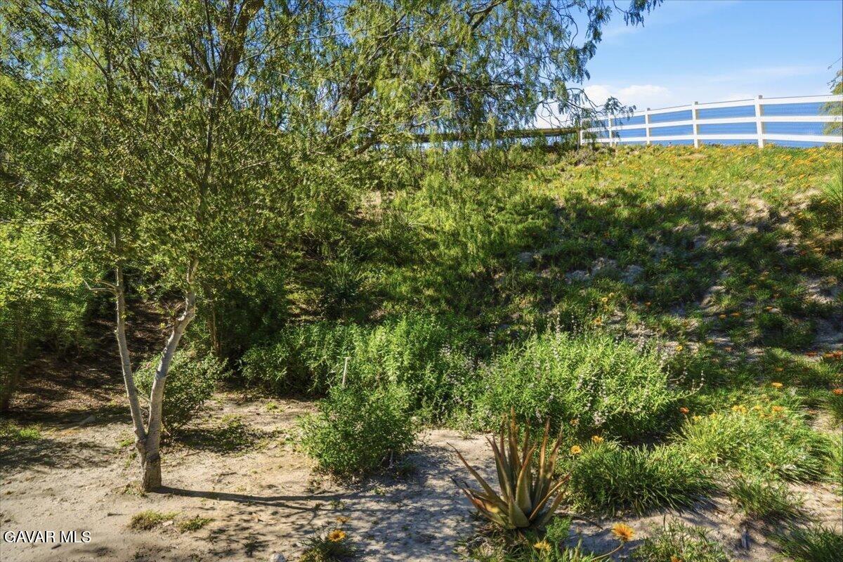 27139 Crystal Springs Road Canyon Country, CA 91387 - Photo 53 of 61 085-DSC09064