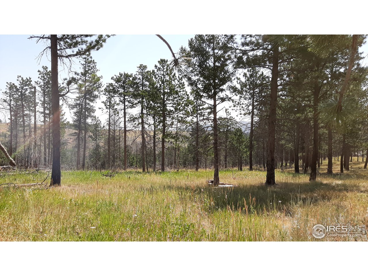 700 Dirt Road Bellvue, CO 80512 - Photo 25 of 30 a view of a swimming pool and a yard