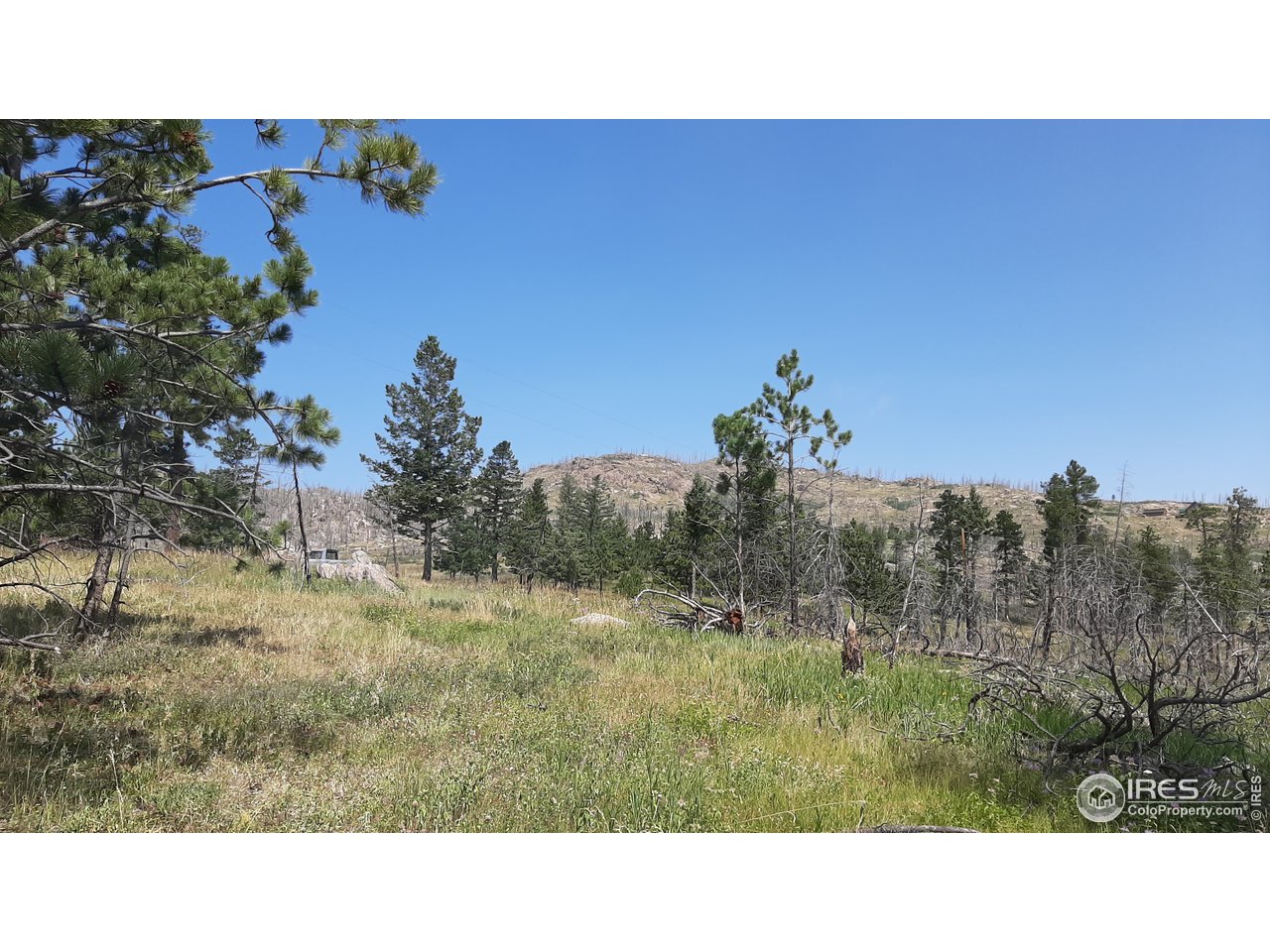 700 Dirt Road Bellvue, CO 80512 - Photo 29 of 30 a open area with trees in front of it