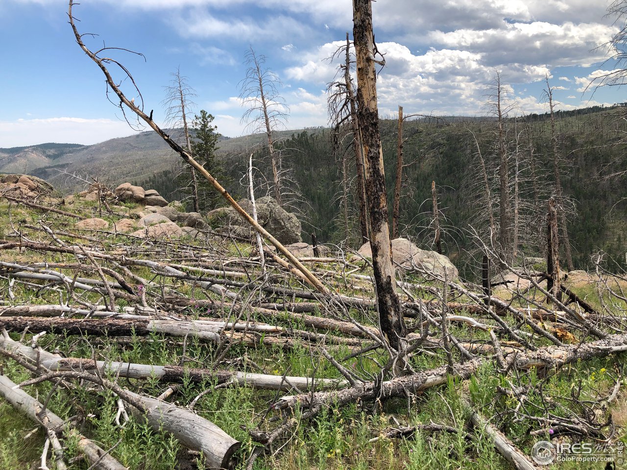 700 Dirt Road Bellvue, CO 80512 - Photo 3 of 30