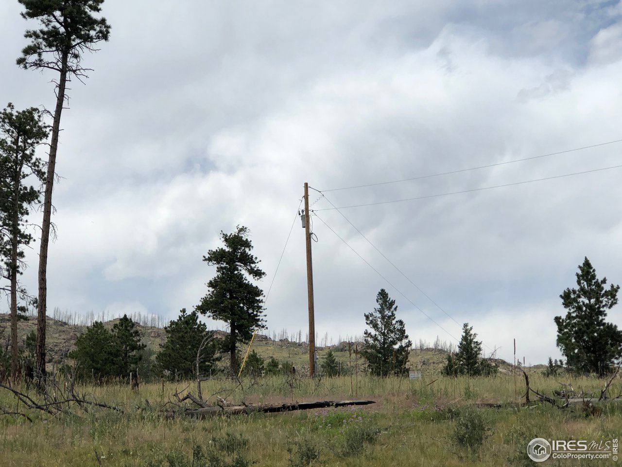 700 Dirt Road Bellvue, CO 80512 - Photo 4 of 30 a view of a lake