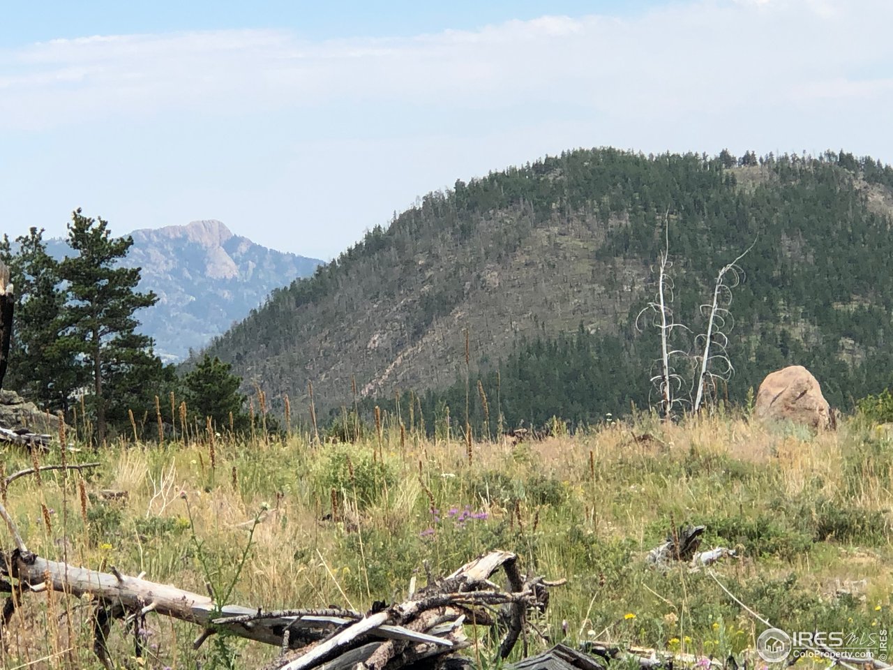 700 Dirt Road Bellvue, CO 80512 - Photo 5 of 30 a view of a lake in middle of forest