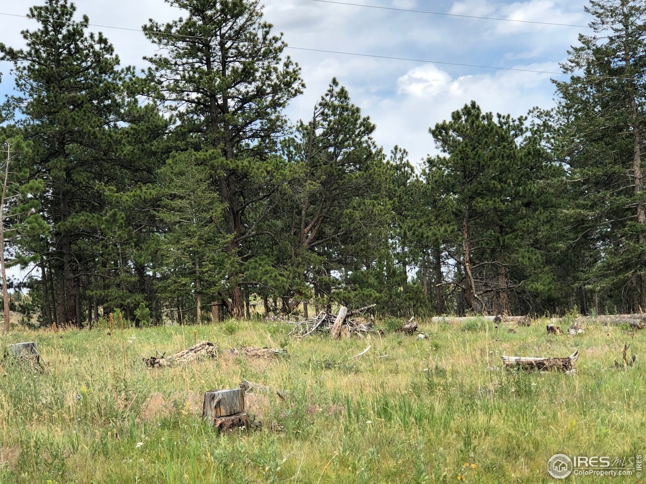 700 Dirt Road Bellvue, CO 80512 - Photo 7 of 30 a view of outdoor space and yard