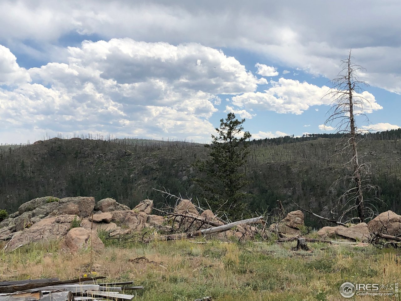 700 Dirt Road Bellvue, CO 80512 - Photo 8 of 30 a view of a backyard