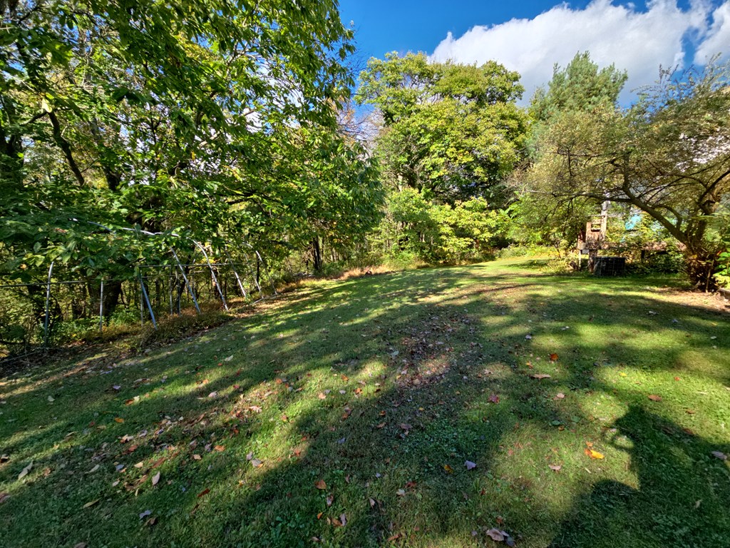 1405 Madison Road Templeton, PA 16259 - Photo 49 of 50 a view of a trees with a yard