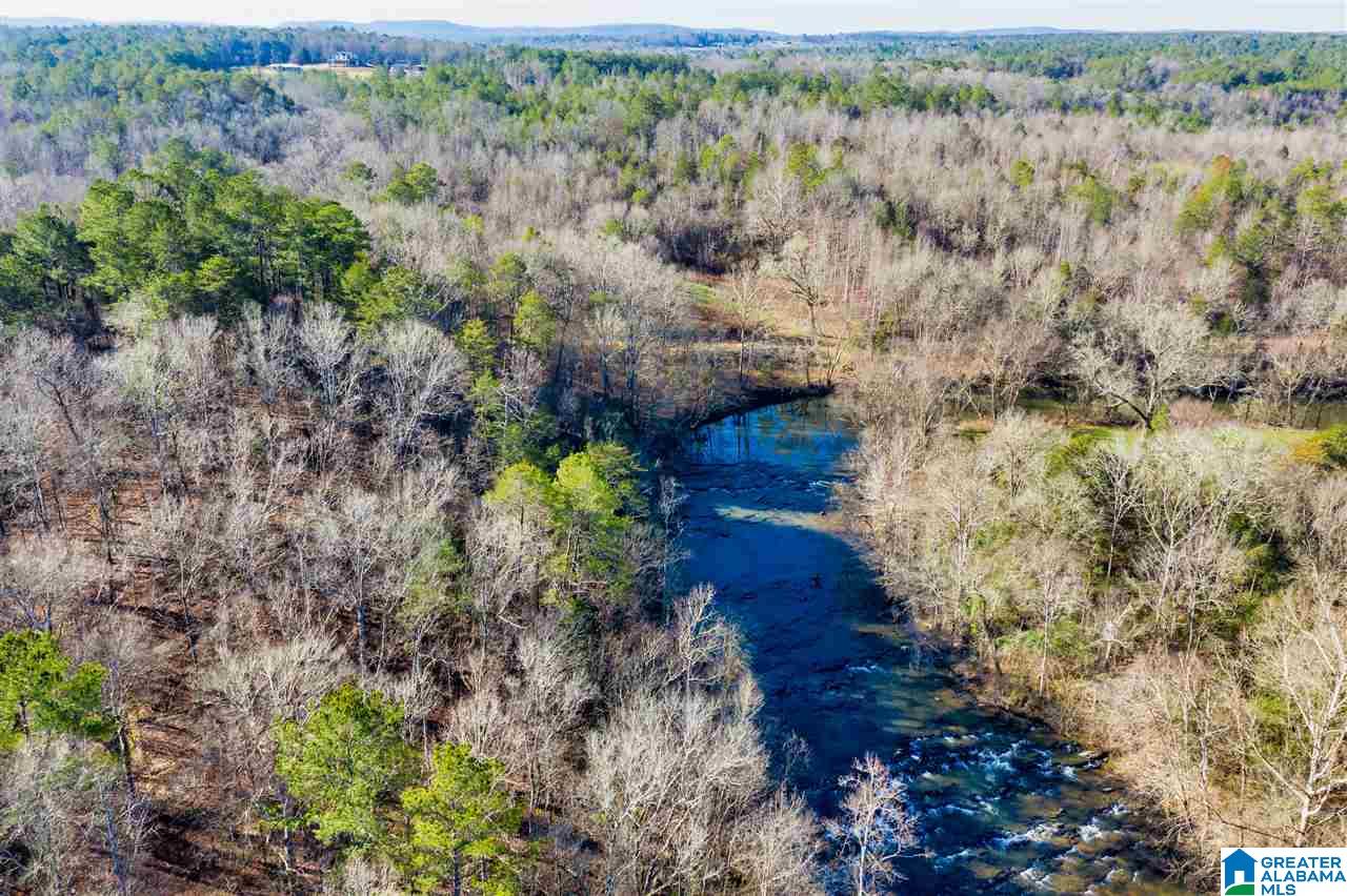 0 County Road 8, Unit 1 Clanton, AL 35045 - Photo 14 of 30