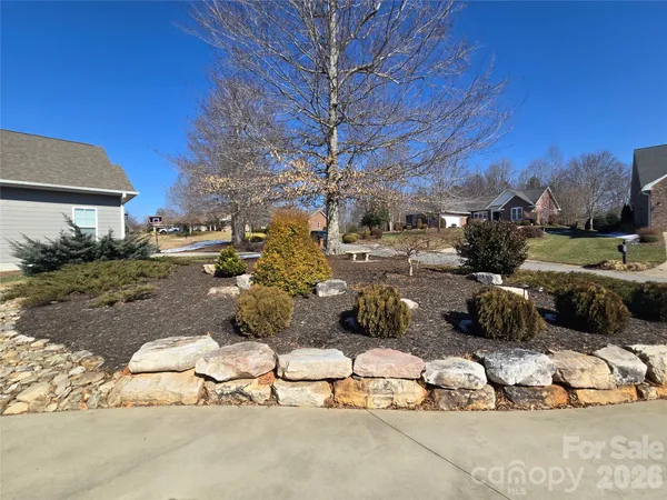 a view of a backyard