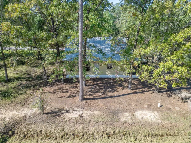 a view of a yard with plants
