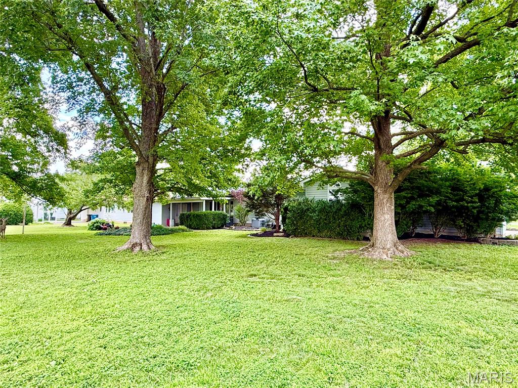 319 Fillmore Street Worden, IL 62097 - Photo 25 of 37