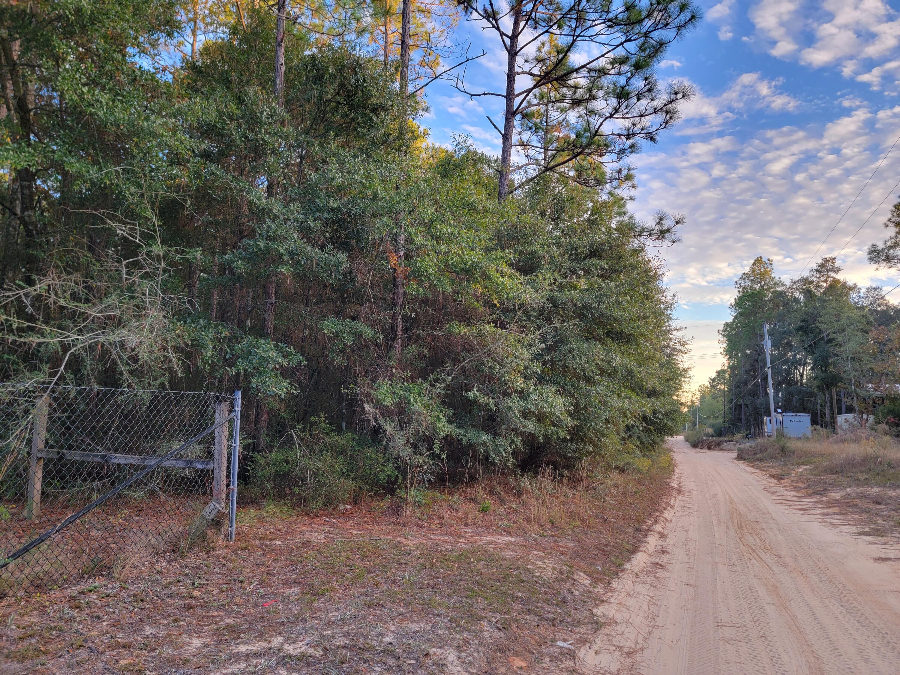 507 A Spotted Fawn Road Holt, FL 32564 - Photo 8 of 14 a view of a forest filled with trees