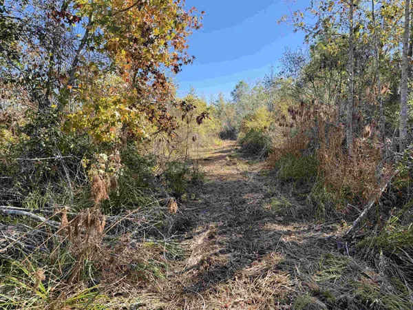 $315,000 | 5001 Northwest Little Cat Road, Madison, FL 32340