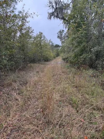 $315,000 | 5001 Northwest Little Cat Road, Madison, FL 32340