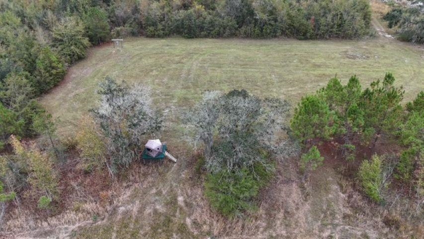 5001 Northwest Little Cat Road Madison, FL 32340 - Photo 13 of 20