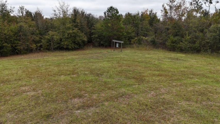 5001 Northwest Little Cat Road Madison, FL 32340 - Photo 15 of 20