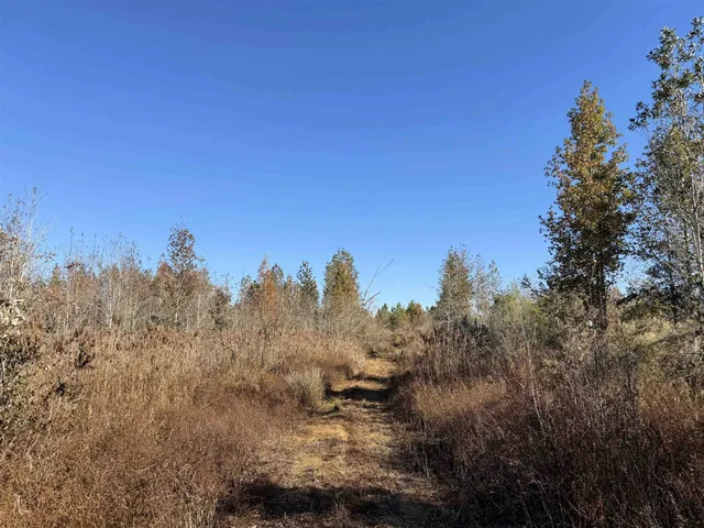 $315,000 | 5001 Northwest Little Cat Road, Madison, FL 32340