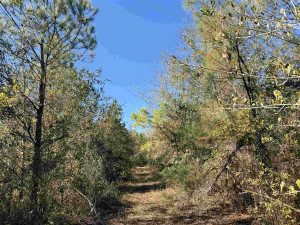 $315,000 | 5001 Northwest Little Cat Road, Madison, FL 32340