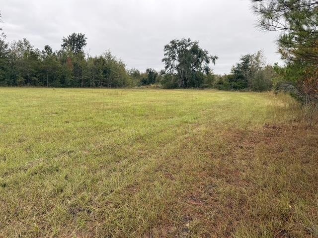 5001 Northwest Little Cat Road Madison, FL 32340 - Photo 5 of 20