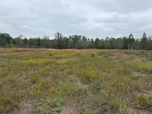 $315,000 | 5001 Northwest Little Cat Road, Madison, FL 32340