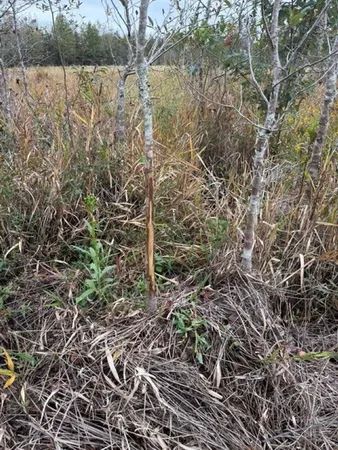 $315,000 | 5001 Northwest Little Cat Road, Madison, FL 32340