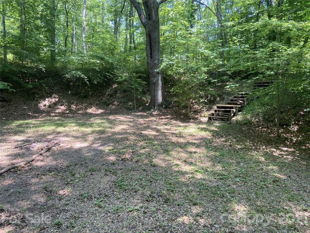 433 Foster Lake Road Blacksburg, SC 29702 - Photo 38 of 40 a view of a yard with a tree