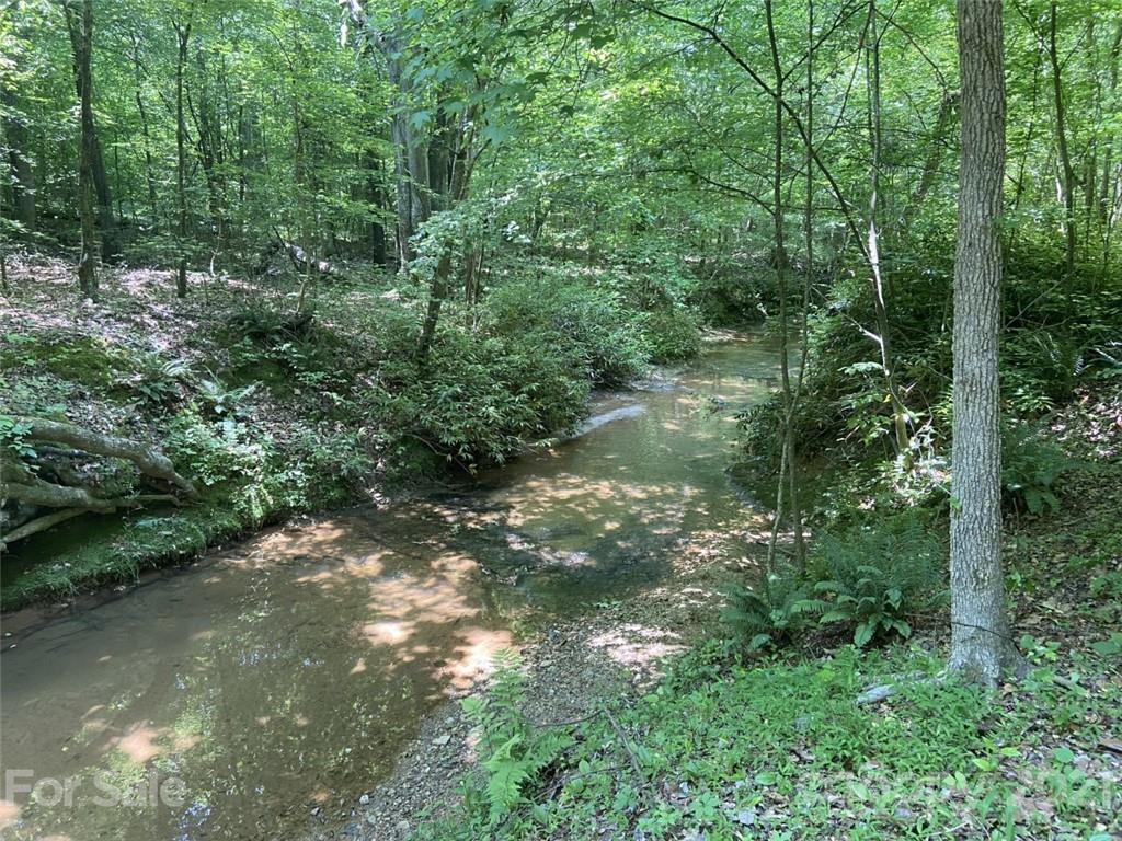 433 Foster Lake Road Blacksburg, SC 29702 - Photo 39 of 40 a view of a green field with lots of bushes