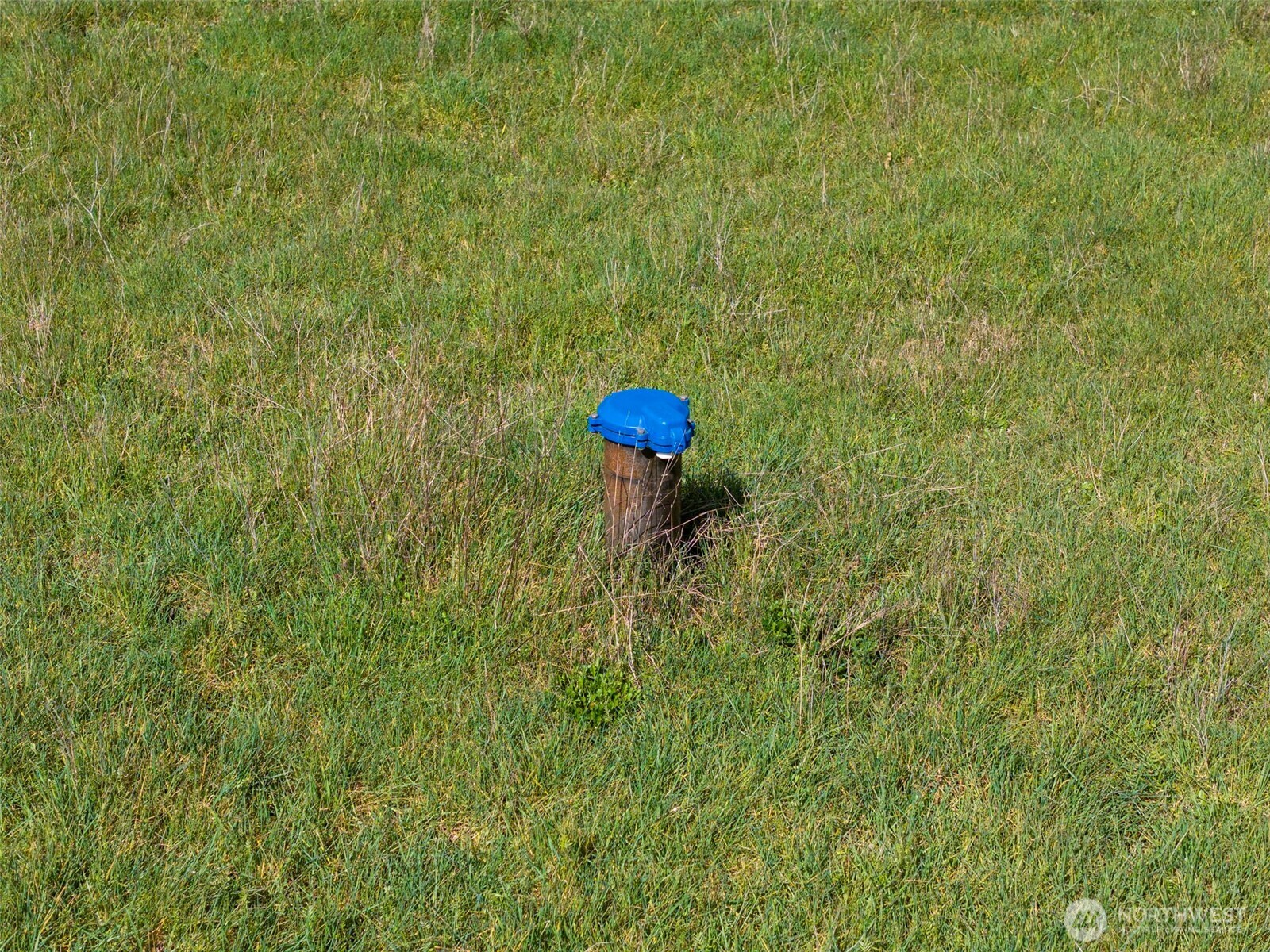 104 Gunnell Road Winlock, WA 98596 - Photo 3 of 13