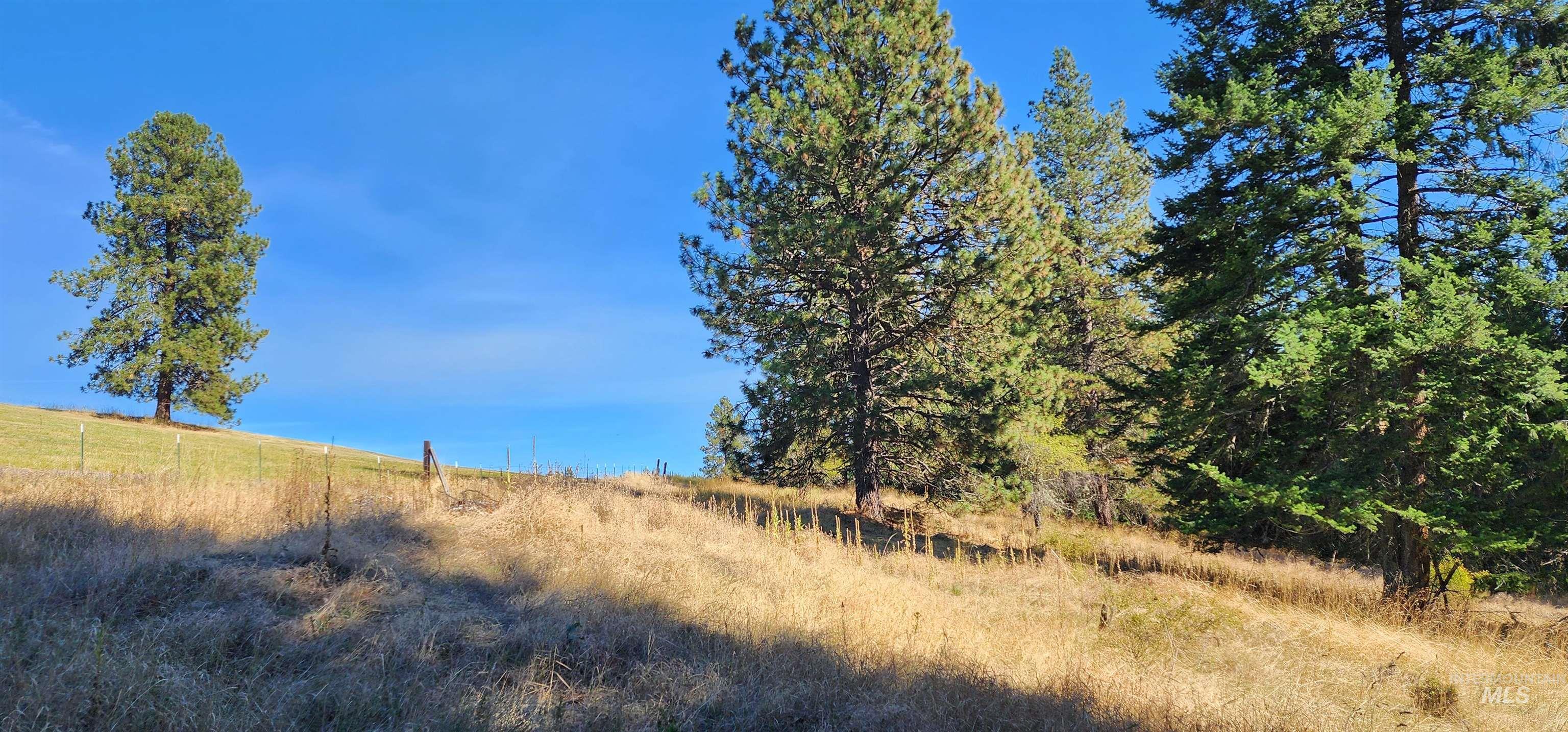 Tbd Red Fir Road Kooskia, ID 83539 - Photo 19 of 34
