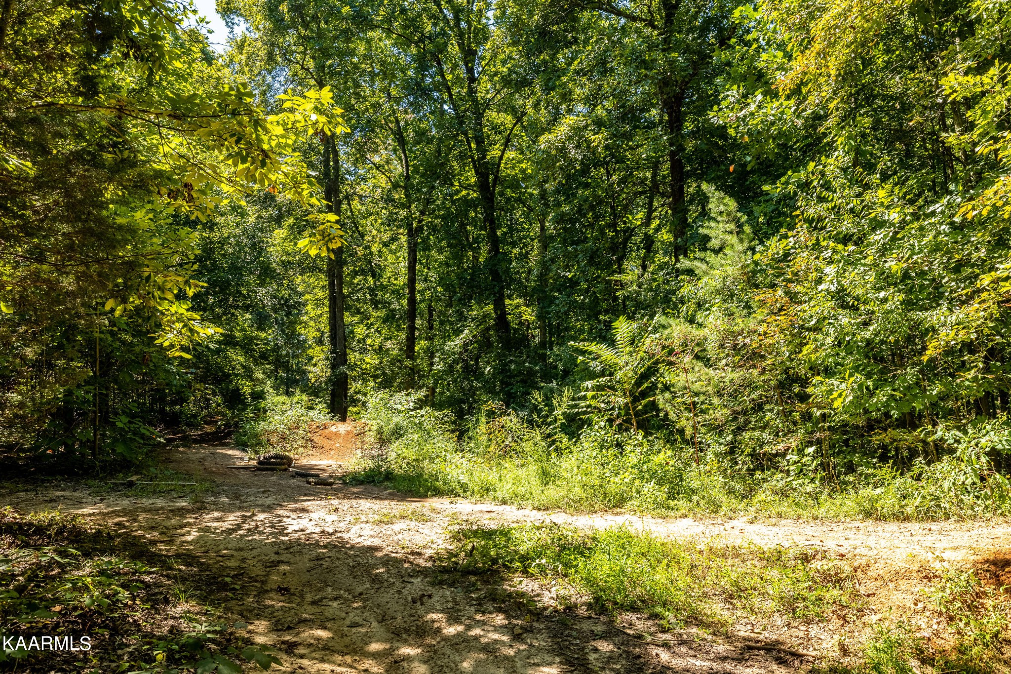 204 Gamble Road Madisonville, TN 37354 - Photo 25 of 29 Gallery Image 25