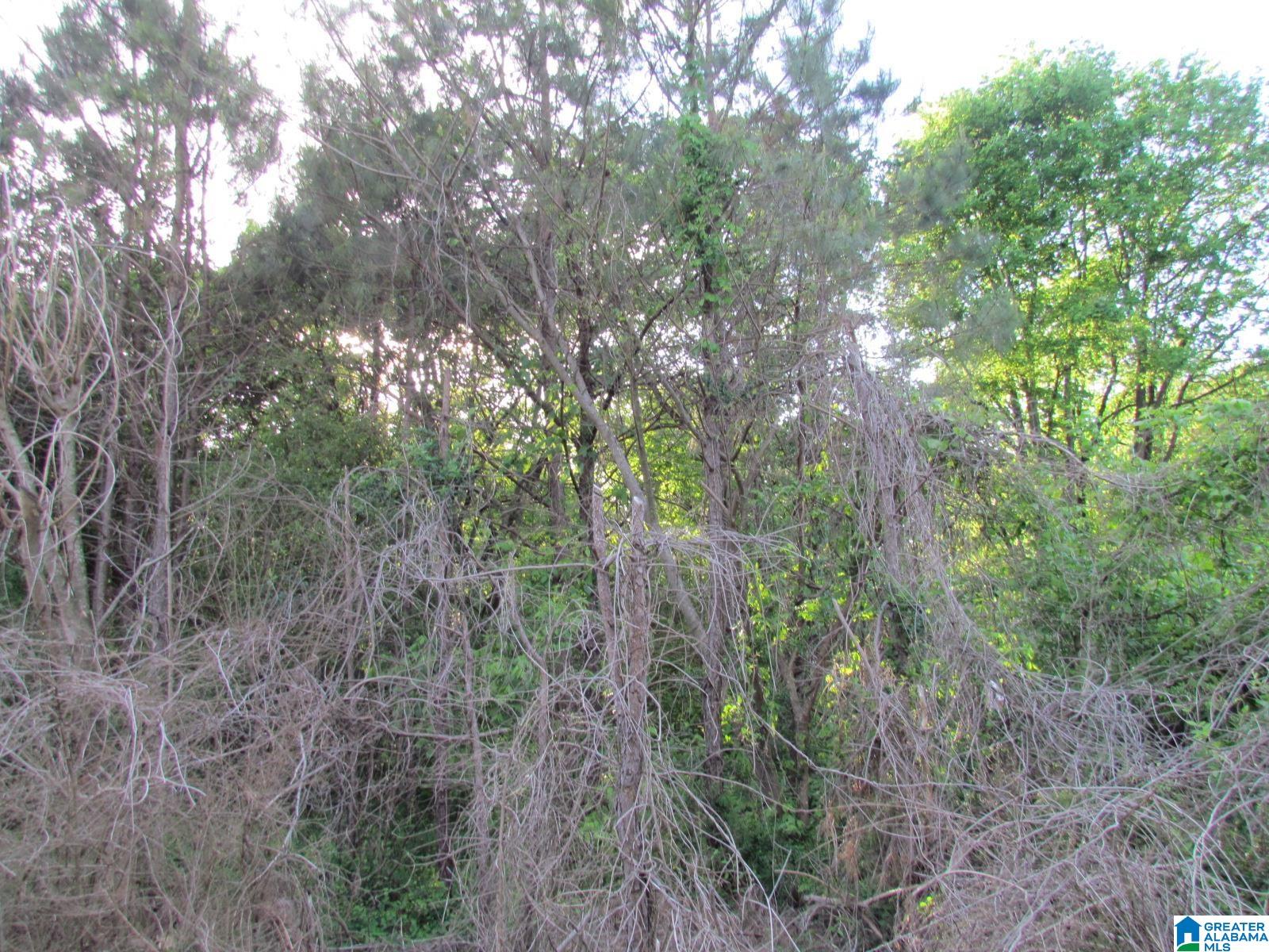 2350 Old Springville Road, Unit 4 Birmingham, AL 35215 - Photo 4 of 5
