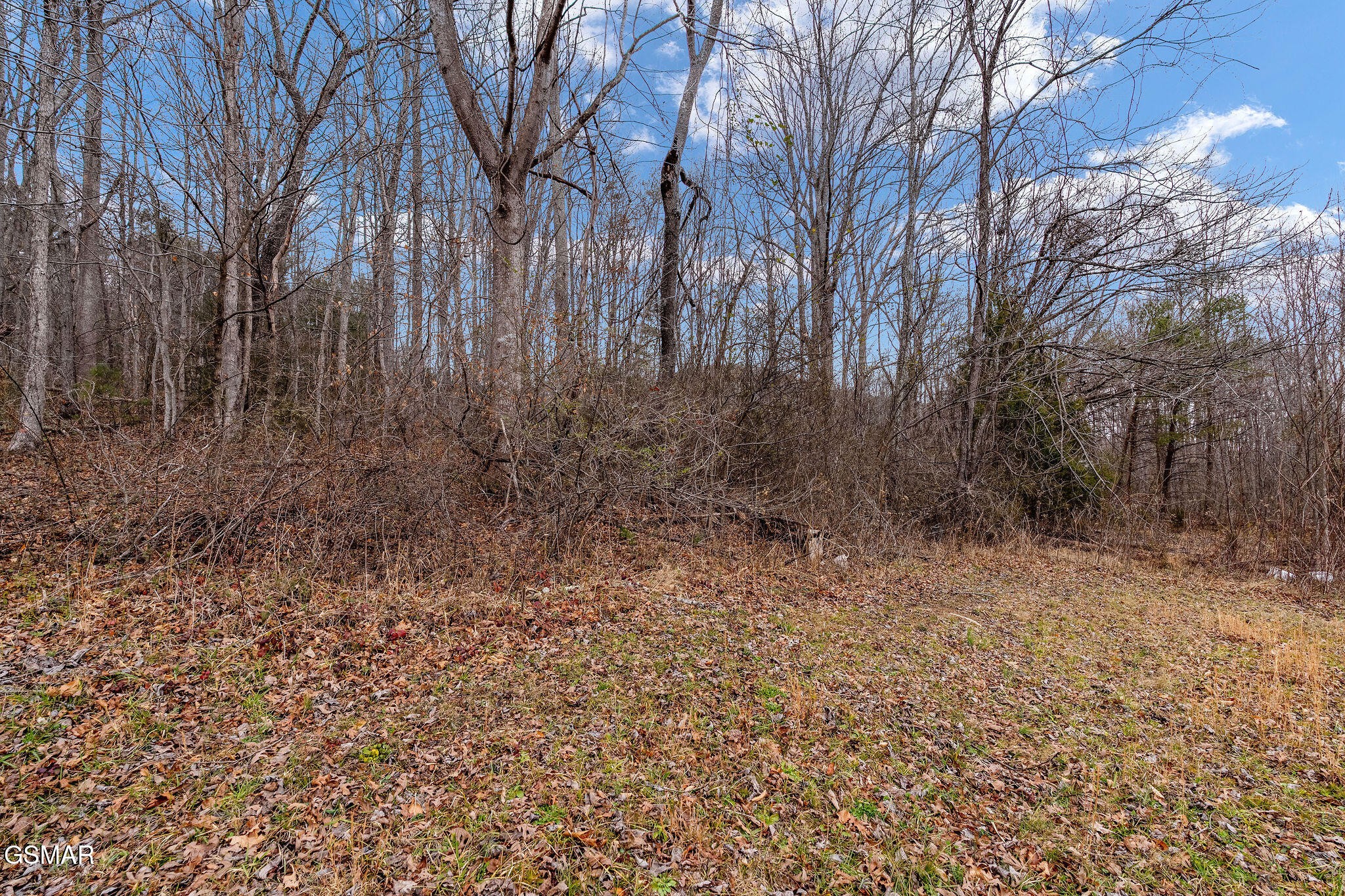 7350 Houston Valley Road Greeneville, TN 37743 - Photo 45 of 49 Gallery Image 45
