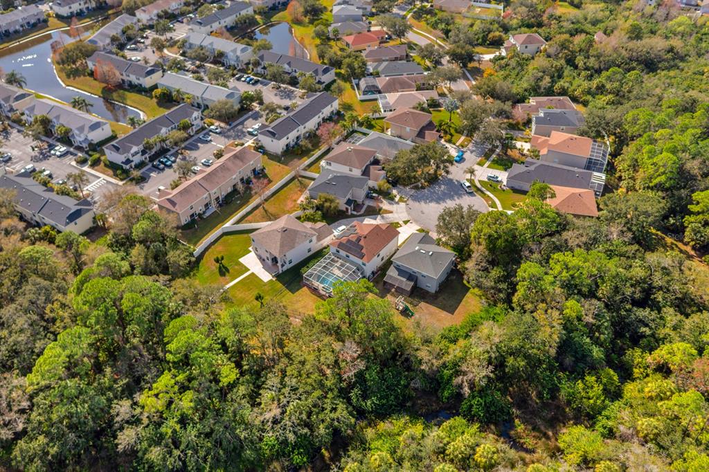 12402 Rustic View Court Tampa, FL 33635 - Photo 35 of 35