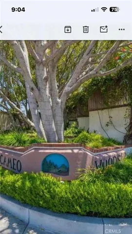a view of a yard with plants