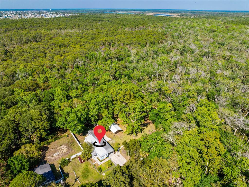 3405 Fremont Lane Spring Hill, FL 34607 - Photo 32 of 39