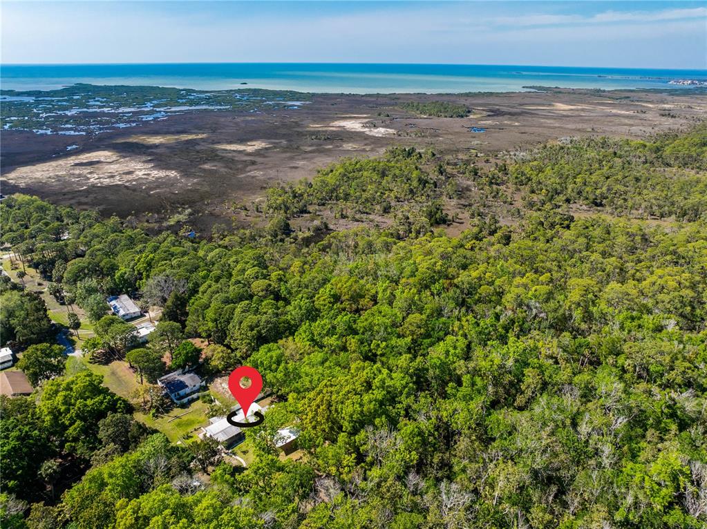 3405 Fremont Lane Spring Hill, FL 34607 - Photo 36 of 39