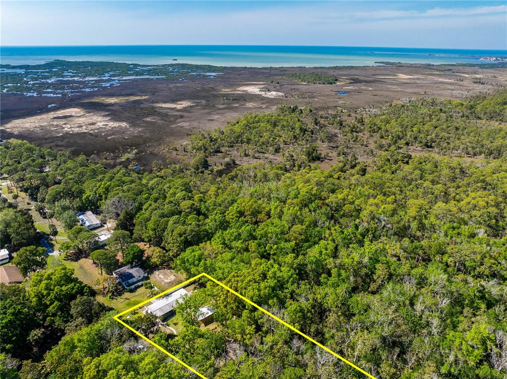 3405 Fremont Lane Spring Hill, FL 34607 - Photo 37 of 39